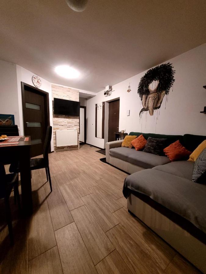 Dds Apartment Брашов Екстериор снимка