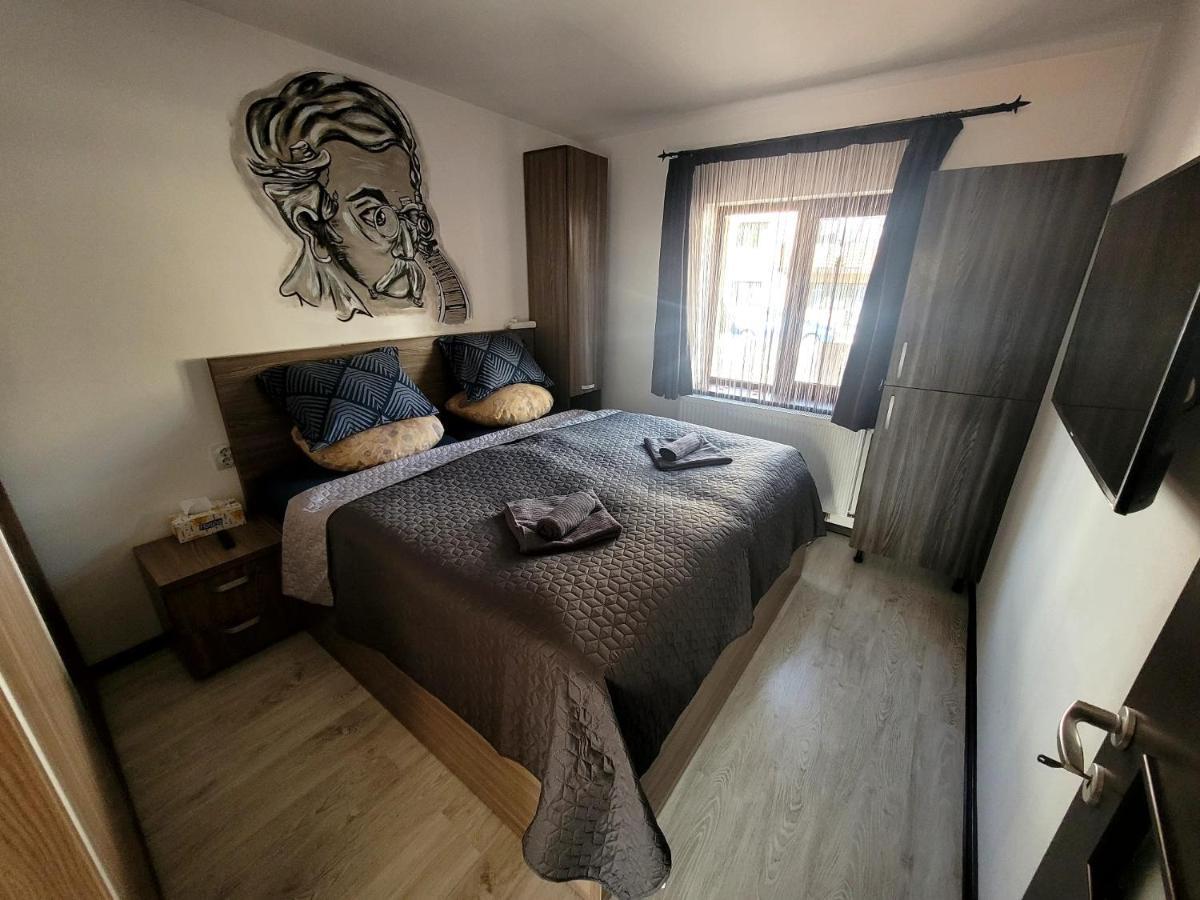 Dds Apartment Брашов Екстериор снимка